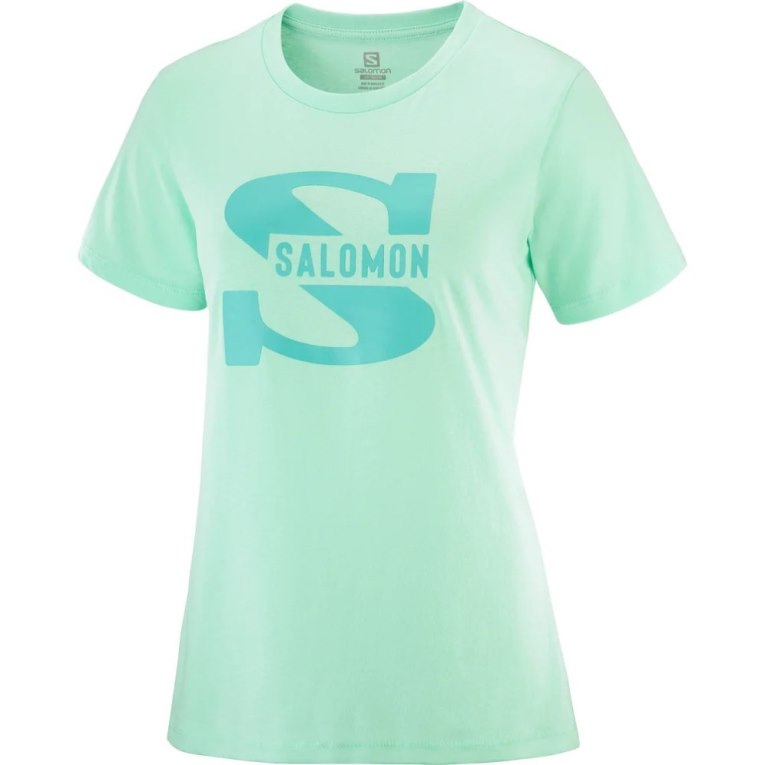 Salomon Outlife Big Logo Short Sleeve Women's T-Shirts Mint | CA 15N37